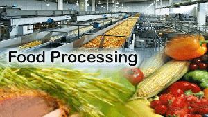 Food Processing Sector