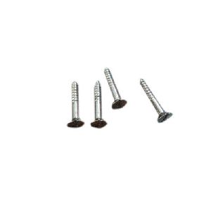 2 Inch Stainless Steel Screw