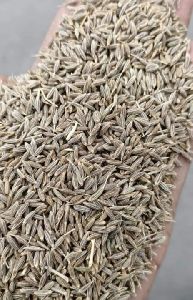 cumin seeds