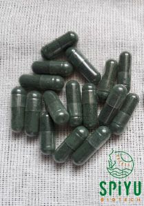 Spirulina Capsule