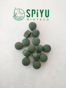 Spirulina Tablet