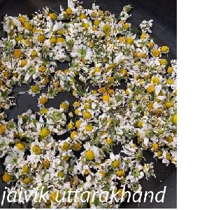Dried Flower In Uttarakhand - Manufacturers And Suppliers India