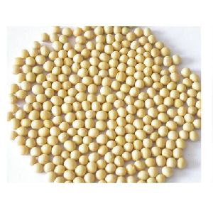 non gmo soybean