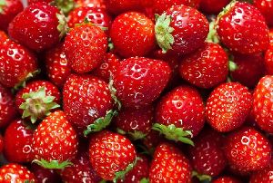 fresh strawberry