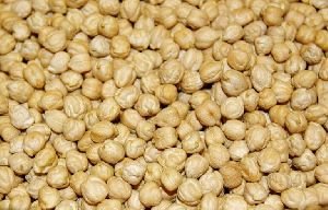 White Chickpeas