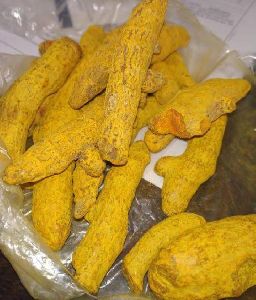 turmeric powder