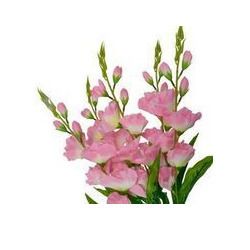 Artificial Pink Lily