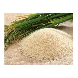 Best Selling Broken (Sortex) Rice | All Type of Rice