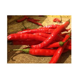 Buy Teja Red Hot Chilli-Chilli Powder