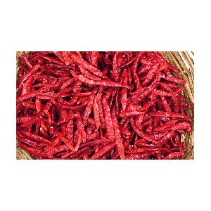 Dry Red Chilli Manufacturer,Dry Teja stemless chilli Supplier