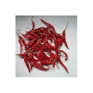 TEJA/S17 Dry Stemless Red Chili Manufacturer