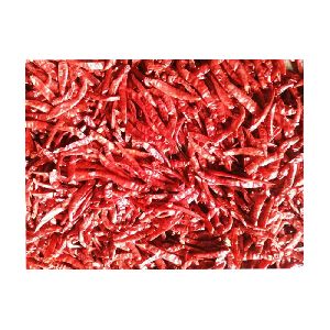 Top Selling Teja Stemless Dry Red Chilli