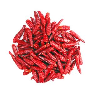 Wholesale Price Stemcut Teja S17 Dry Red Chillie