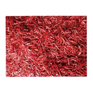 Wholesale Teja Dry Red Chilli Supplier