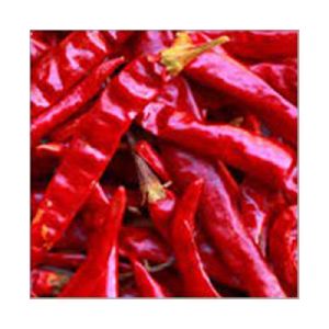 Wholesale Teja Dry Red Chilli Suppliers