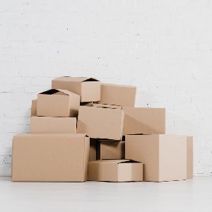 carton packaging box
