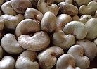 raw cashew nuts