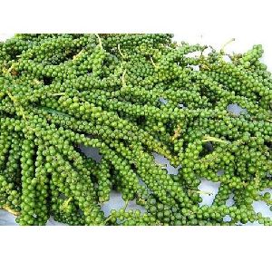 Dried Green Bell Pepper, Packaging Size : 5 Kg