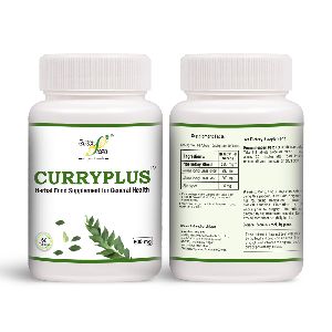 CURRYPLUS &amp;ndash; 500 mg Herbal Food Supplement for General Health