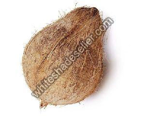semi husked coconut