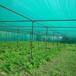 Plastic Agro Shade Net