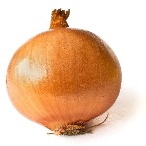 fresh yellow onion