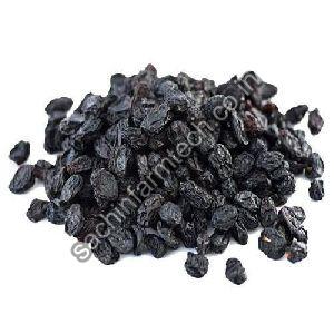 black raisins