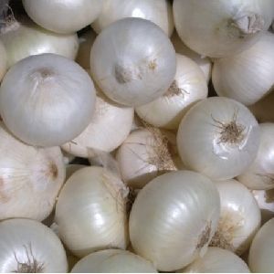 White Onion