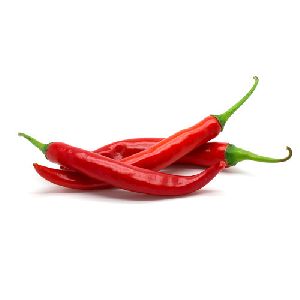 Fresh Red Chilli, Packaging Type : Jute Bag