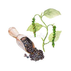 black pepper seeds