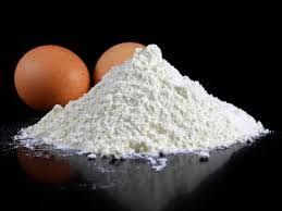 Egg Shell Powder ( White )