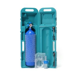 Hydraulic Gas Cylinder Portable Oxygen Cylinders for Home Use