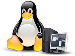 Linux Administration Services