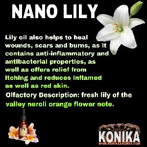 Nano Lily