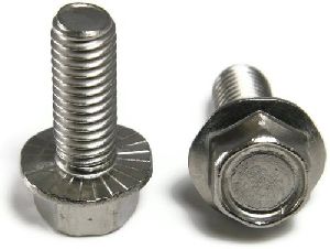 Stainless Steel Flange Nuts