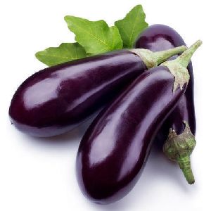 Organic Fresh Brinjal, Color : Voilet