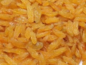 Sangli Golden Long Raisins