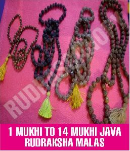 1 Mukhi to 14 Mukhi Java Rudraksha Mala