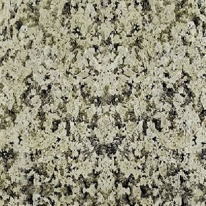 Royal Cream Granite Slab