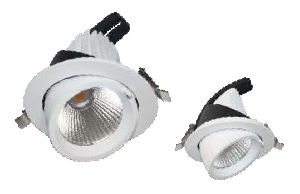 LZM LED Zoom Light