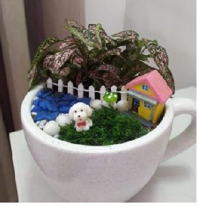 Cup Flower Pot