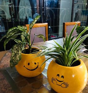 Smile Ball Flower Pot