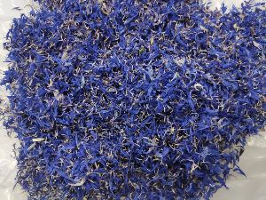 dried blue cornflower