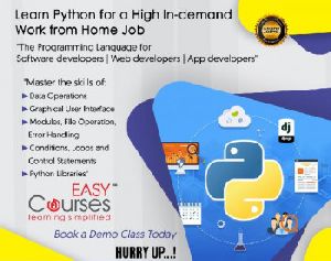 Professional Training on Python available both Online and Offline