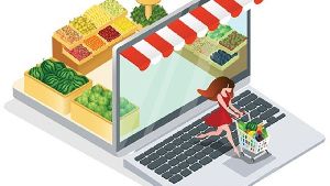 Online grocery delivery software