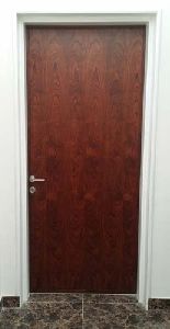 Wooden Finished Steel Door