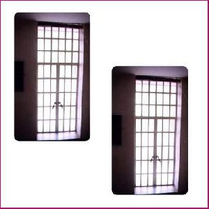 Standard Steel Window