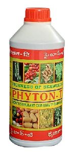 Phyton T