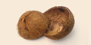 coconut shell chips,