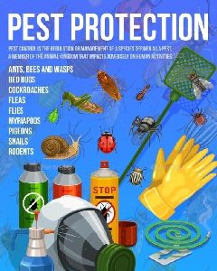 Pest Control Services in Manesar